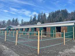 Stalls with attached outside runs at Rosebud River Ranch